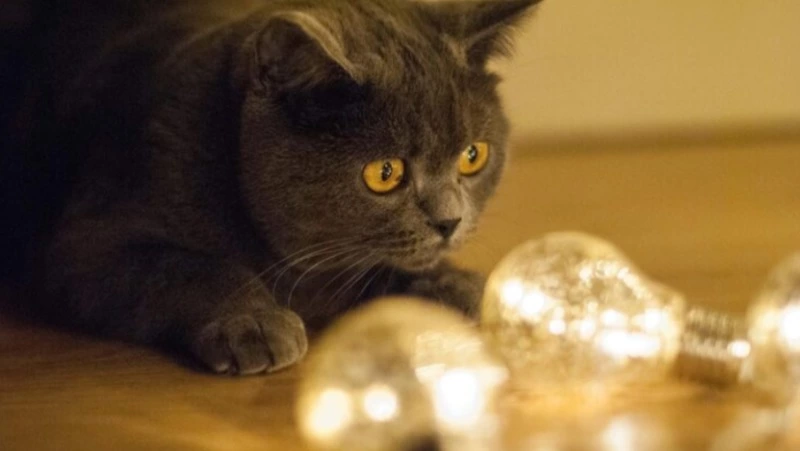 Авария на электросетях оставила часть Южно-Сахалинска без света 1 ноября