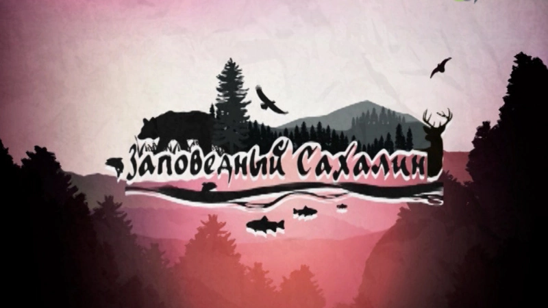 Особо охраняемые зоны