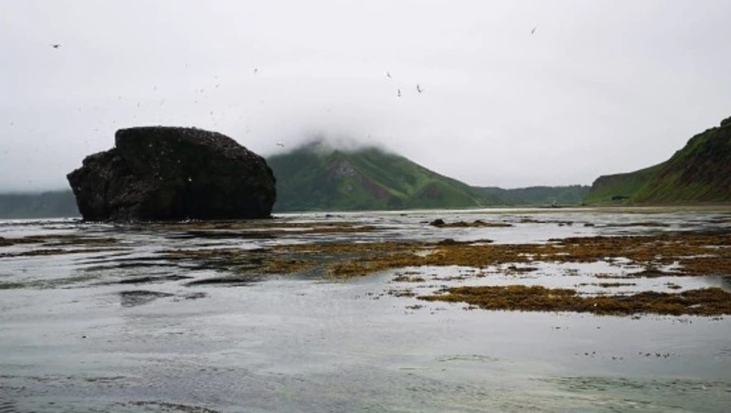 Игра: сможете угадать все достопримечательности Сахалина?