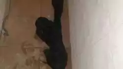 Студент перед смертью пытался спасти товарища в душе общежития