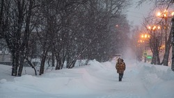 Снег и ветер с порывами до 32 м/с ожидаются в Сахалинской области 24 января