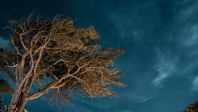 Гороскоп на 14 июня 2023 года: приумножение личных ресурсов и крупная сделка