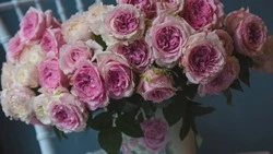 Какие цветы подарить избраннице на День всех влюбленных