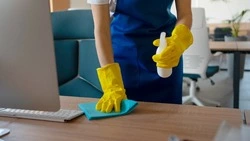 Авито Услуги: Чем ближе осень, тем выше спрос на клининг у жителей Дальнего Востока