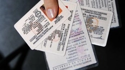 Мужчины на Сахалине подделали документы ради работы машиниста и слесаря 