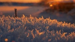 Плюсовая температура ожидается 24 февраля на юге Сахалина