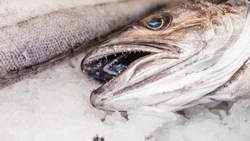 Экспорт рыбы и морепродуктов с Сахалина и из Приморья вырос в 2,7 раза 