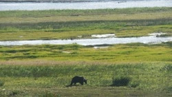 Путешествуем по Сахалину: по топям и марям островного северо-запада 