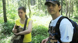 Биологи ИМГиГ исследуют мхи и лишайники на активных курильских вулканах