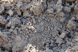 Жители Северо-Курильска попросили губернатора заасфальтировать улицу 