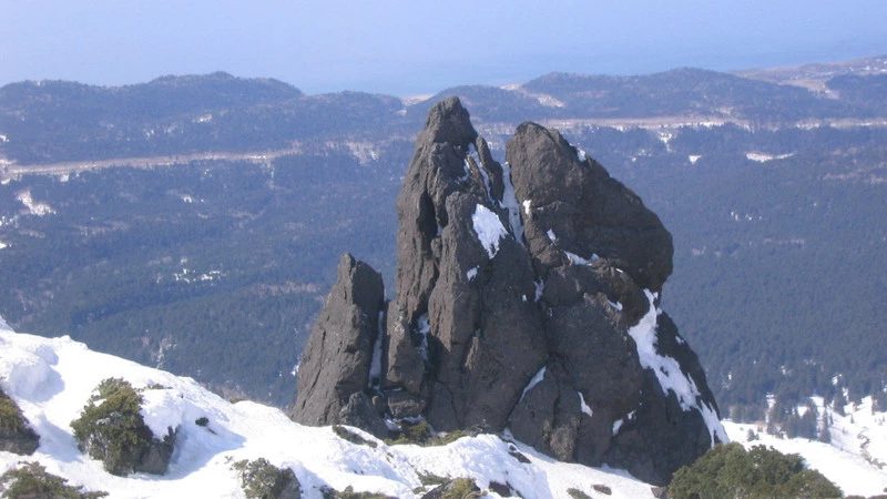 Сахалинский депутат Болотников: Каждый новый премьер-министр Японии говорит о Курилах одно и то же