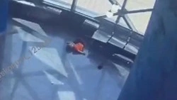 Океанариум Владивостока выплатит 2,25 млн рублей семье с Сахалина за травму ребенка