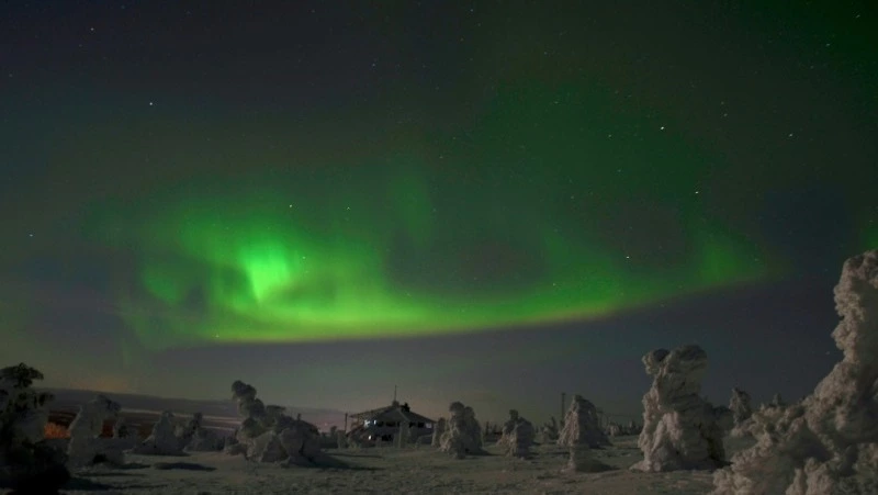 Гороскоп на 7 февраля 2024 года: успех в творчестве и новые проекты 