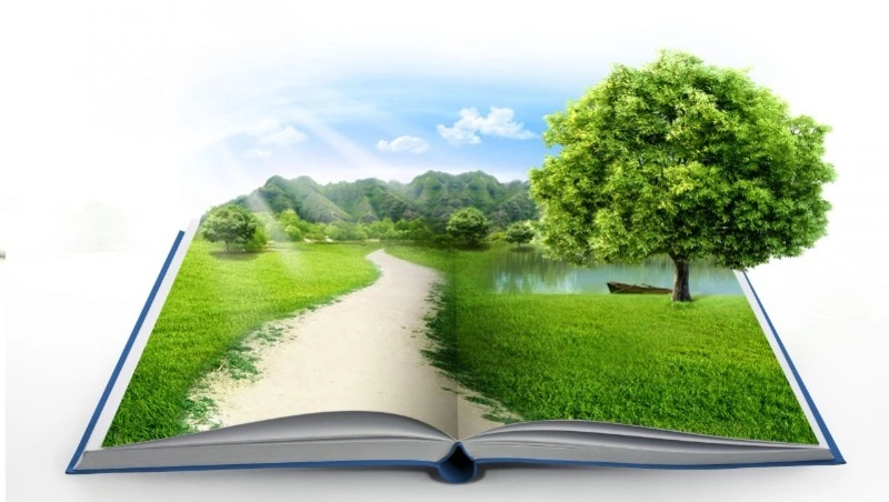 Особый учебник поможет школьникам Сахалина изучать краеведение с 1 сентября