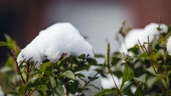 Погода в Южно-Сахалинске 26 марта: +3 градуса и ясное небо 