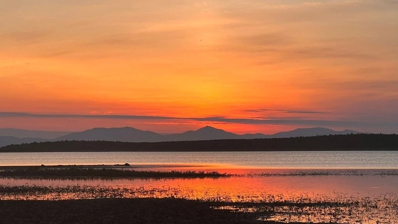 До +19 градусов и без осадков ожидается в Южно-Сахалинске 12 мая