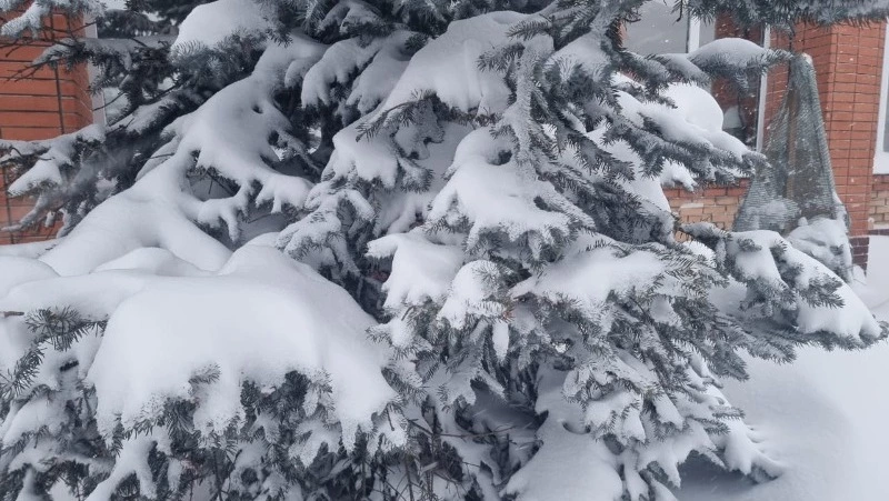 Меньше снега, больше ветра: прогноз погоды на Сахалине и Курилах в пятницу, 14 января