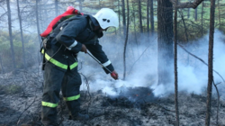 Третьи сутки пожарные тушат лес в Смирных
