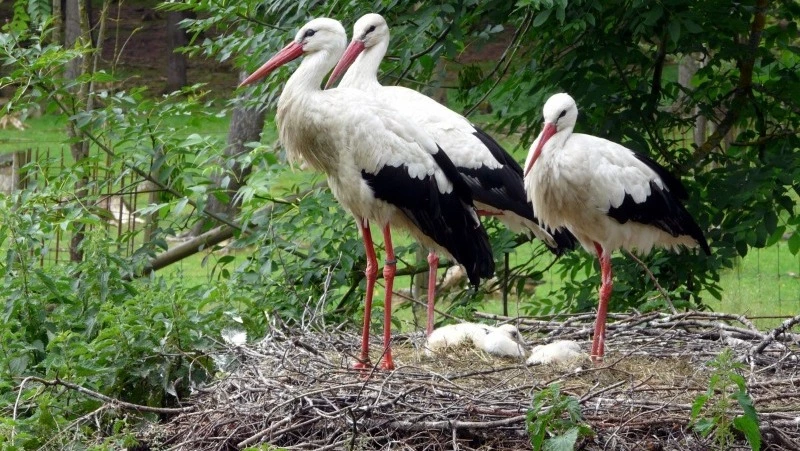 Церковные праздники, приметы и памятные даты 20 августа 2025 года