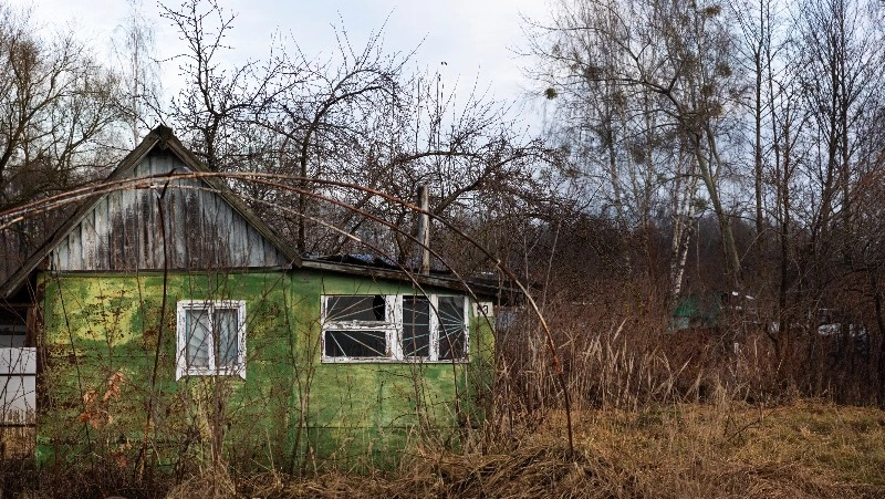 С начала лета россиян начнут штрафовать за борщевик на участке