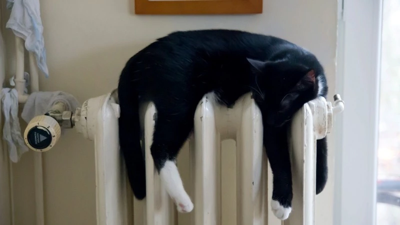 Более 20 домов в Южно-Сахалинске отключат от отопления 3 марта