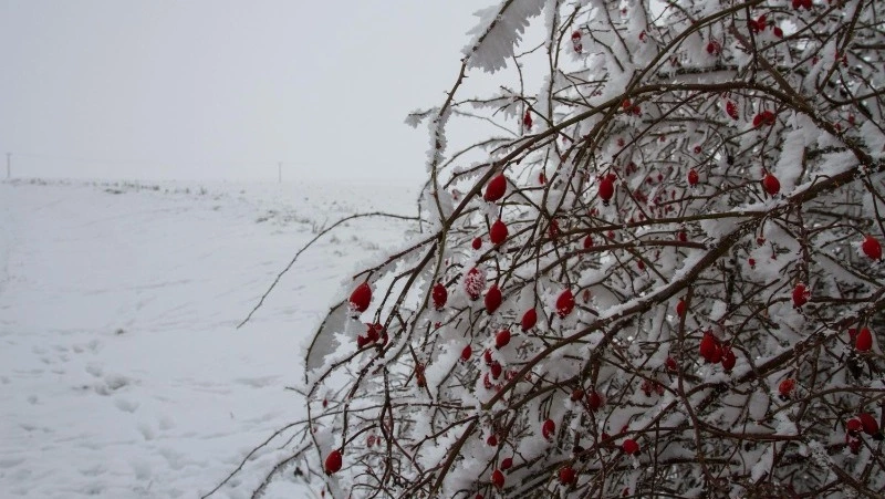 Церковный праздник 9 января 2025: что нельзя делать в этот день, приметы