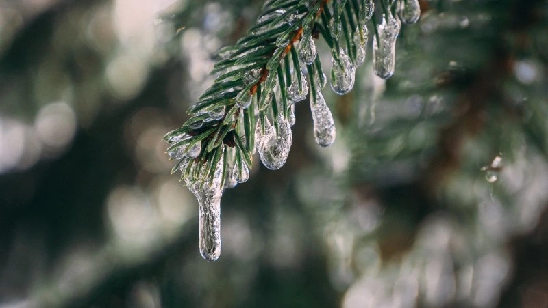 Ночью — мороз, днем — до -4: прогноз погоды в Южно-Сахалинске на 9 декабря