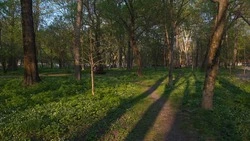 Воздух прогреется до +28 градусов в Южно-Сахалинске 13 августа