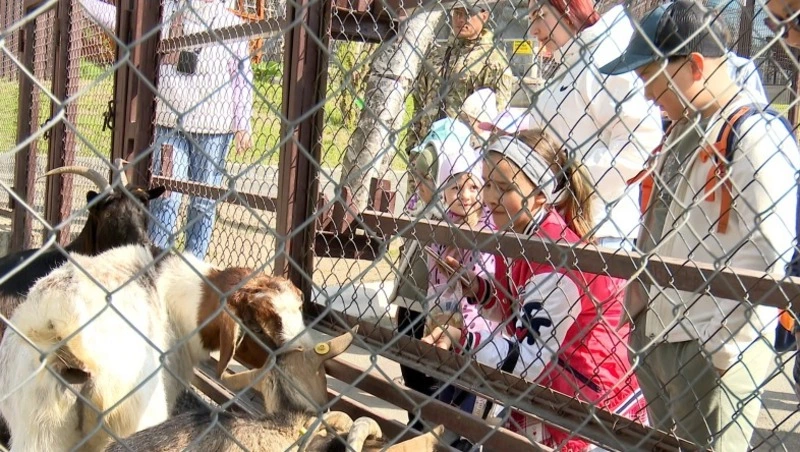 В зоопарке Южно-Сахалинска организовали экскурсию для детей ветеранов СВО