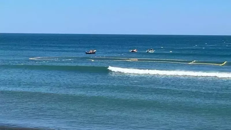 Первые результаты сахалинской лососевой путины оценили ученые и рыбаки