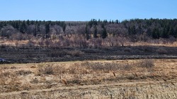 Более 7 тысяч кв. метров сухой травы сгорело возле свалки в Углегорском районе