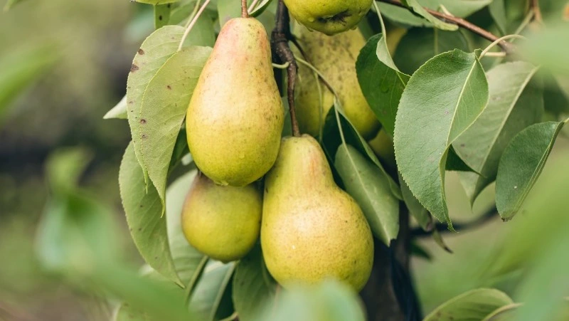 Приметы обо всем на 10 августа 2023 года: что можно и нельзя делать в этот день