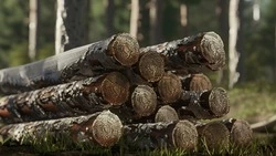 Уголовное дело о контрабанде леса на сумму 600 млн рублей направлено в суд