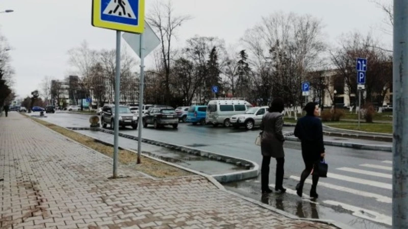 Штрафы или клумбы. Как отучить сахалинцев от хамской парковки. ГОЛОСОВАНИЕ