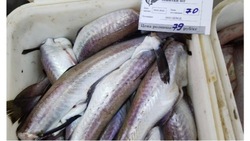 Рыбу по ценам от 56 рублей за килограмм привезли в село Ильинское 17 апреля