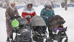 В Госдуме сообщили о модернизации системы назначения единого пособия для семей с детьми