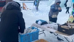 Дары моря по низкой цене привезли в 12 районов Сахалинской области 10 января