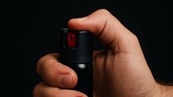 В Госдуму внесли проект о запрете мигрантам покупать перцовые баллончики