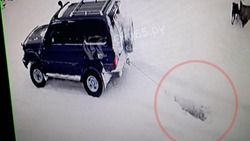 Живодер из Охи привязал собаку к машине, проехал с ней по дороге и отрезал хвост