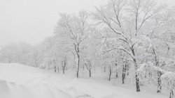 Циклон с мокрым снегом накроет три района Сахалина 23 ноября