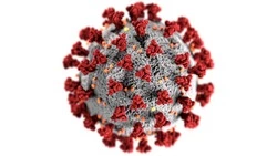 Роспотребнадзор зафиксировал рост заболеваемости COVID-19 на Сахалине