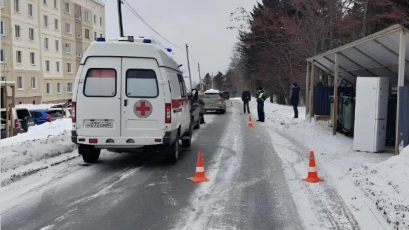 Водитель Honda сбила выбежавшего на дорогу ребенка в Корсакове