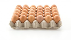 Генпрокуратура проверит производителей и продавцов куриных яиц в России
