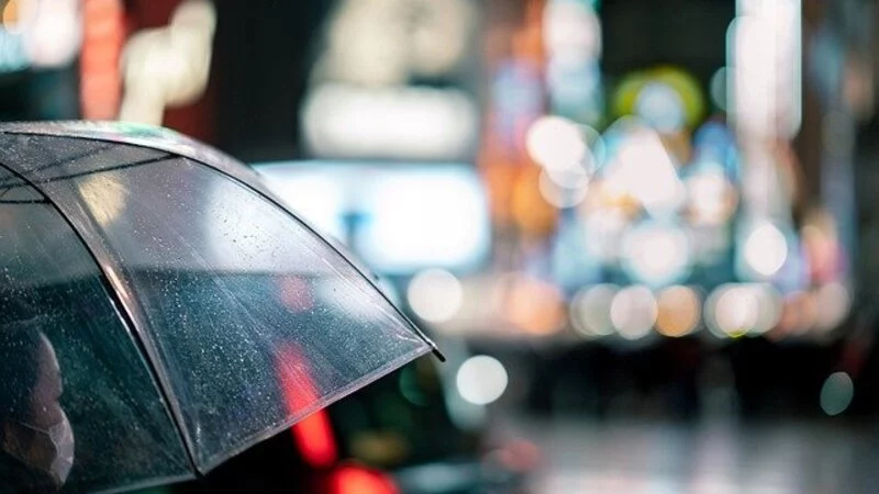 Москва возмутилась бездействием японских властей во время акций у посольства РФ