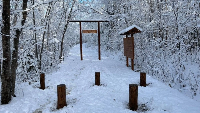 Столбики от автомобилистов установили на экотропе «Еланька» в Южно-Сахалинске