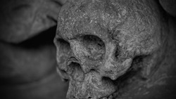 Общая могила на Сахалине скрывала тела 16 человек, которых погребли не менее 25 лет назад