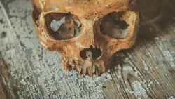 Следователи отправили в морг скелет, найденный у моря в Томаринском районе