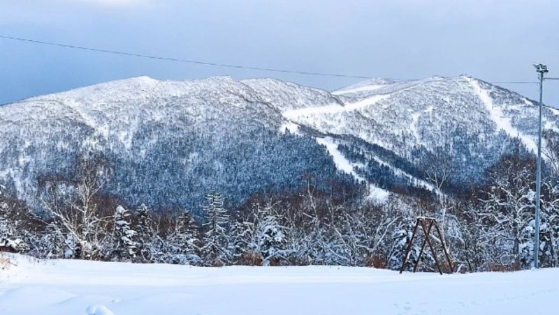 «Работа с высокой самоотдачей»: Сергей Надсадин — об итогах 2022 года для Сахалина