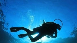 ФСБ задержала браконьеров с 7 тысячами экземпляров трепанга на юге Сахалина