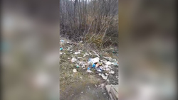 Островитяне обнаружили на въезде в Южно-Сахалинск горы мусора